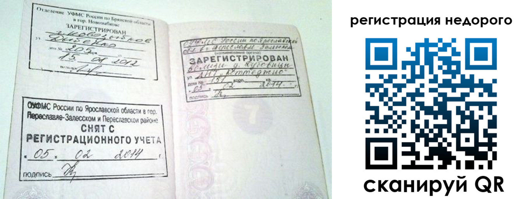 прописка поиск в Волхове